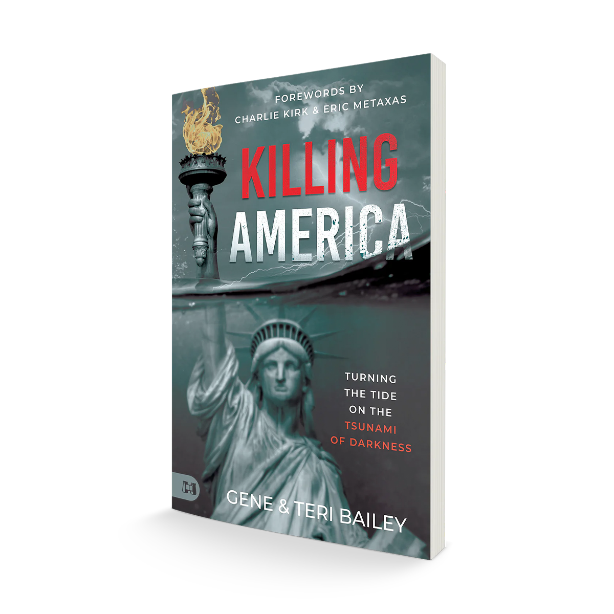 Killing America Book