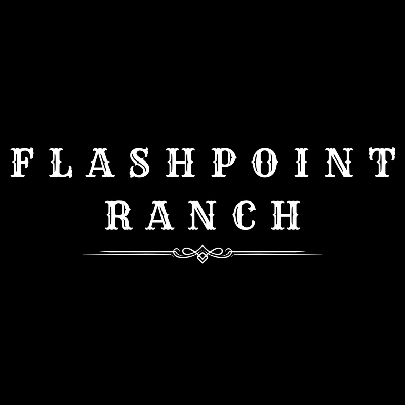FlashPoint Ranch