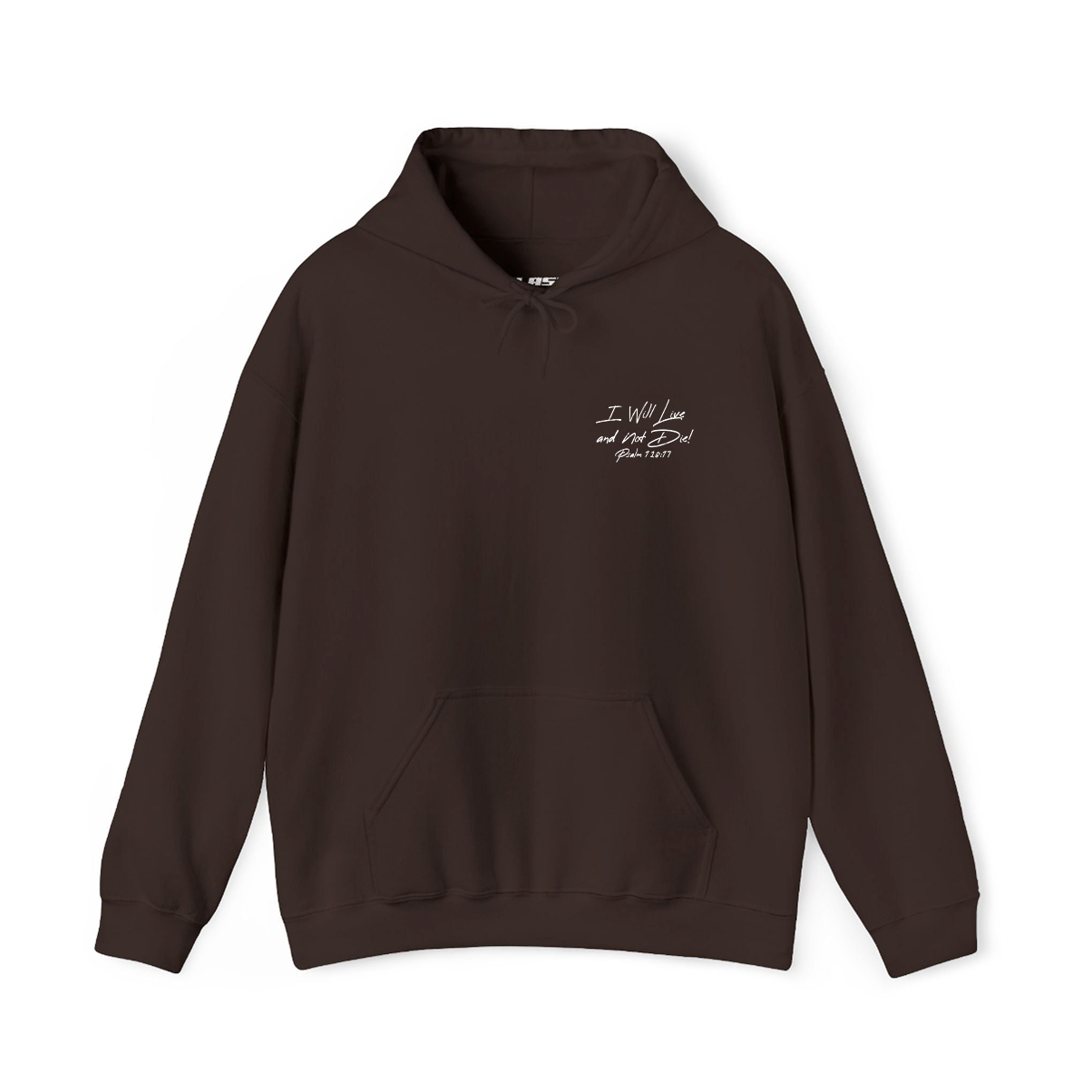 Psalm 118:17 Hoodie