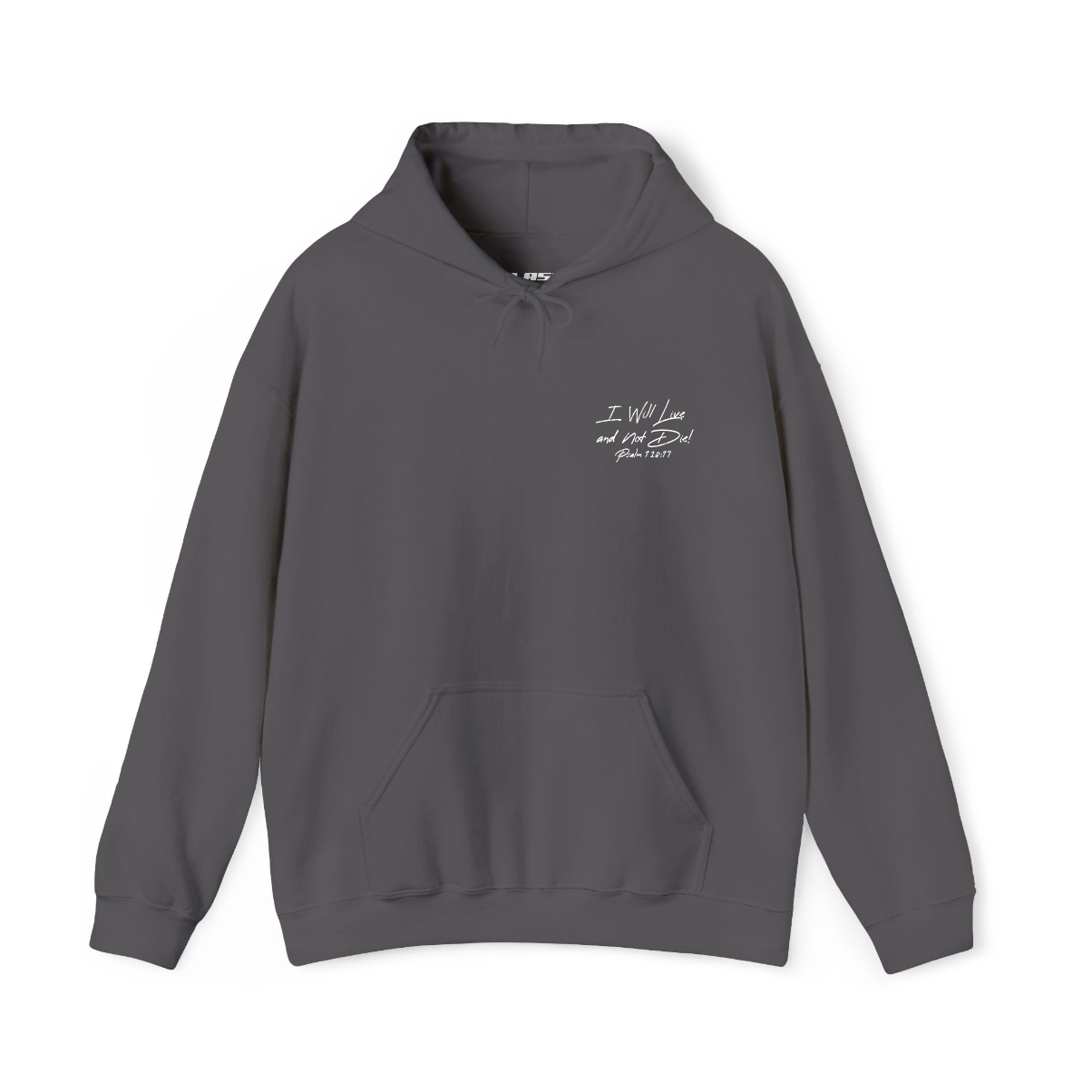 Psalm 118:17 Hoodie