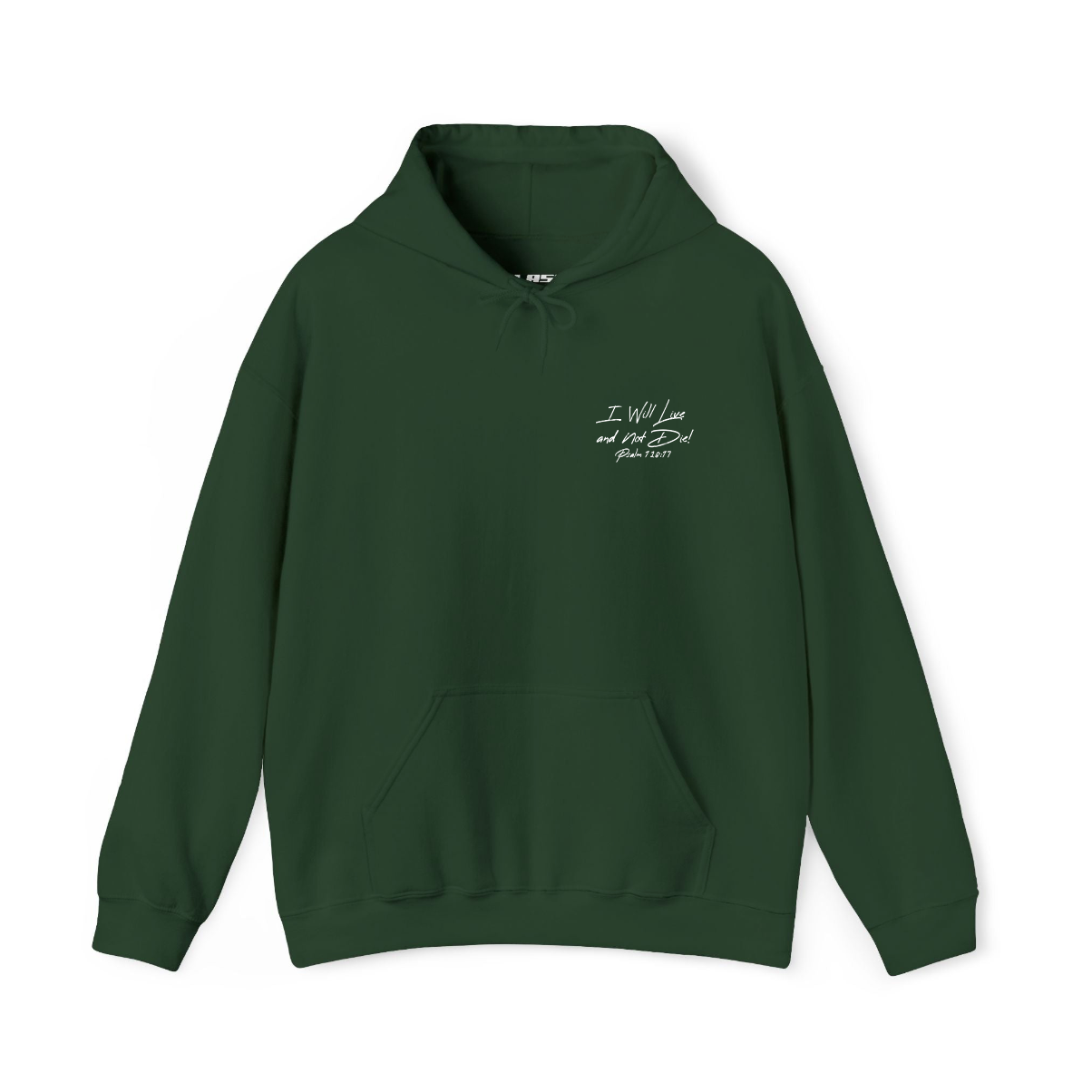 Psalm 118:17 Hoodie